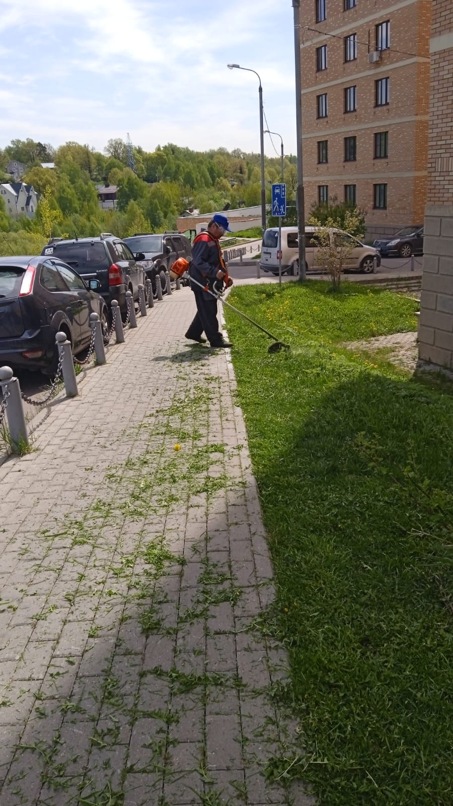 Плановый покос.
